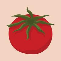 fechar a ilustração de tomates frescos vetor