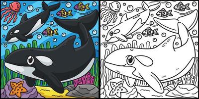 baleia assassina para colorir ilustração colorida vetor