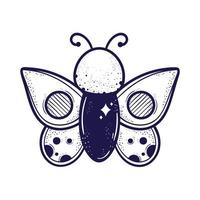 desenho de inseto de borboleta de beleza vetor
