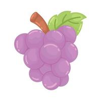 uvas frescas frutas saudáveis vetor