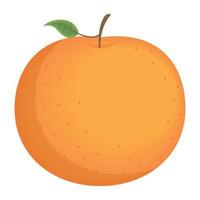 frutas cítricas laranja frescas vetor