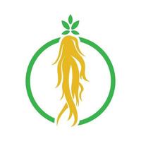 modelo de design de logotipo de ginseng e ícone de símbolo vetor