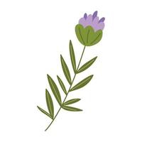 ícone de flores violetas vetor
