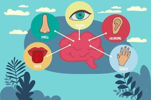 conjunto de ícones de linha de cinco sentidos humanos. visão, cheiro, audição, toque, ícones de gosto. órgãos sensoriais humanos. olho, nariz, orelha, mão, conjunto de ícones de boca.