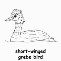 ilustração de linha de crianças para colorir pássaro mergulhão de asas curtas. vetor de contorno para crianças. ilustração vetorial preto e branco para livro de colorir