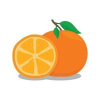 laranjas de fruta. imagem de fruta laranja. ilustração de design de vetor de fruta laranja. símbolo de fruta laranja. modelo de design fresco de fruta laranja