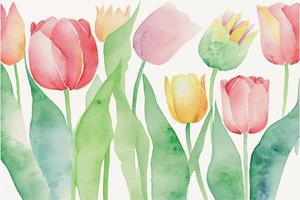 tulipas em aquarela desenhadas à mão vetor