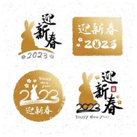 material dourado do ano novo chinês 2023 para o ano do coelho conjunto de caracteres de caligrafia chinesa vetor