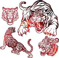 matilha de tigres tigres agressão pacote de chamas de fogo vermelho gatos quatro zangados vetor