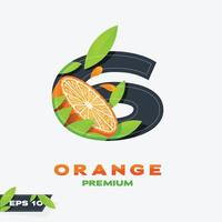 número 6 laranja fruta edição vetor