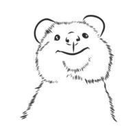 desenho vetorial quokka vetor