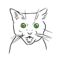 gato de contorno de ilustração de linha simples, ilustração vetorial de  desenho de mão animal 14020290 Vetor no Vecteezy