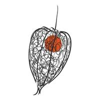 desenho vetorial physalis vetor