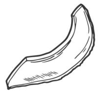 doodle ícone de esboço de fatia de abacate isolado no fundo branco vetor