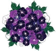 ilustração vetorial de flores de ipomeia com moldura de folhas vetor