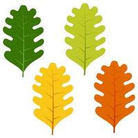 conjunto de folhas verdes, amarelas e vermelhas, isoladas no fundo branco. ilustração em vetor de folhas de outono.