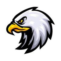 design de mascote de logotipo de cabeça de águia vetor
