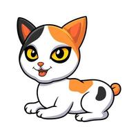 desenho de gato bobtail japonês bonito vetor