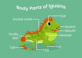 vetor partes do corpo do lagarto bonito dos desenhos animados. anatomia de animais em inglês para crianças. aprendendo palavras.