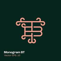 logotipo do monograma bt vetor