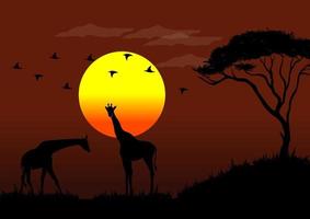 ilustração vetorial da vida selvagem africana ao pôr do sol com girafa vetor