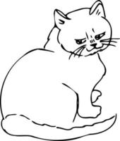 gato animal fofo, sono joga .doodle estilo .children ilustração livro para colorir. vetor