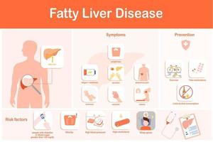 ilustração vetorial. infográfico de doença hepática gordurosa. sintomas, prevenção e fatores de risco vetor