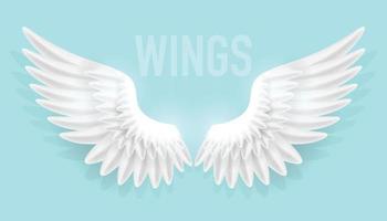 ilustração vetorial de asas de anjo realistas isoladas em fundo liso vetor
