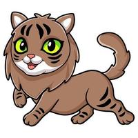 desenho animado de gato siberiano fofo andando vetor