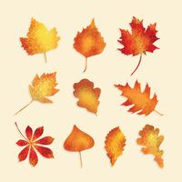 Vector de folhas de outono texturizadas grátis