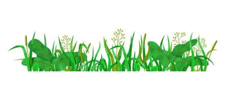 grama verde em vista lateral isolada vetor
