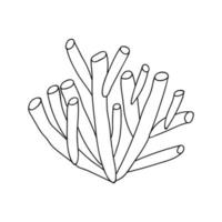 ilustração de recife de coral desenhada à mão. doodle ilustração vetorial de coral. vetor