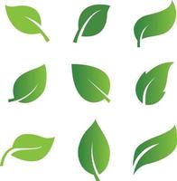 conjunto de ícones abstratos de folhas verdes isoladas em fundo branco vetor