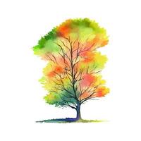 árvore da floresta de outono aquarela espessa vetor