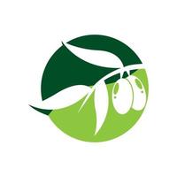 conjunto de design de ilustração vetorial de logotipo verde-oliva vetor