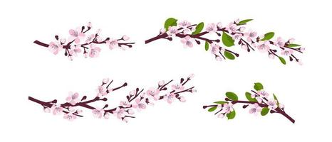 Flor de cerejeira. um conjunto de galhos com flores de cerejeira isoladas em um fundo branco. sakura japonesa. ilustração vetorial vetor