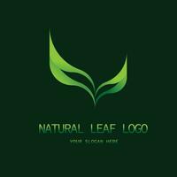 logotipo de folha natural criativo. design de logotipo gradiente elegante. fundo verde isolado vetor