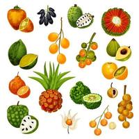 frutas tropicais exóticas, ícones vetoriais vetor