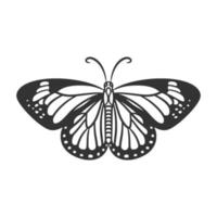 ilustração de arte de linha de borboleta de beleza preto e branco vetor
