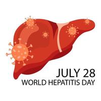 dia mundial da hepatite. 28 de julho. ilustração vetorial. vetor