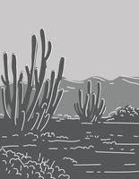 monumento nacional de cacto de tubo de órgão no arizona arte de linha monoline desenho em tons de cinza vetor