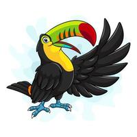 pássaro tucano dos desenhos animados no fundo branco vetor