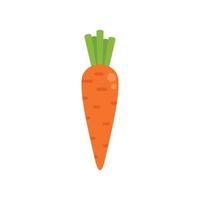 vetor plano de ícone de cenoura de jardim fresco. comida esportiva