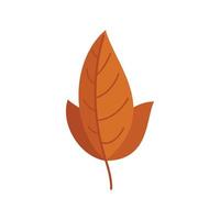 vetor plana de ícone de folha marrom. outono
