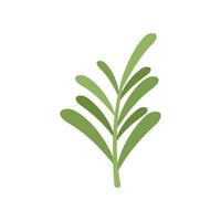vetor plano de ícone de alecrim à base de ervas. planta de erva