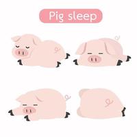 conjunto de porcos de desenho animado dormindo vetor