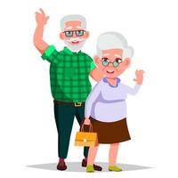vetor de casal de idosos. avô com avó. estilo de vida. casal de idosos. ilustração plana isolada dos desenhos animados