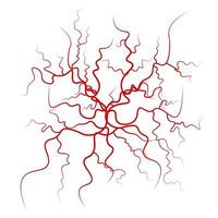 vetor de veias de sangue humano. desenho de vasos sanguíneos vermelhos. ilustração isolada no fundo branco