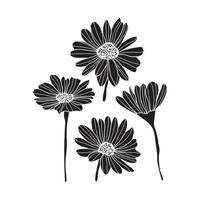 coleção de arte de ervas florais naturais deixa flores em estilo de silhueta. ilustração elegante de beleza decorativa para design floral desenhado à mão vetor