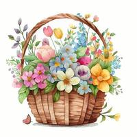 linda cesta de aquarela com flores da primavera vetor